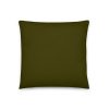 basic dark green pillow 18x18
