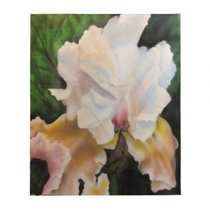 White iris painted on throw blanket with green background