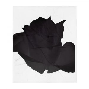 black rose with white background painted on a throw blanket