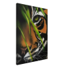 Bengal Tiger with green eye peeking through grass