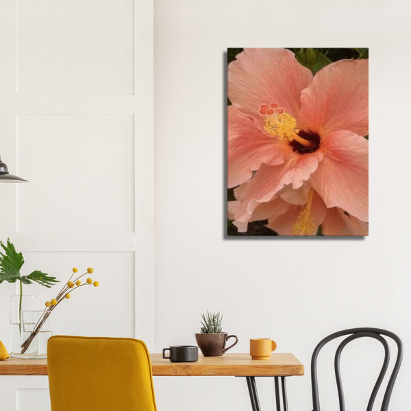 Peach Hibiscus Flower closeup on canvas 24x32
