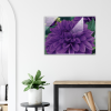 bright purple dahlia flower closeup on acrylic 24x32