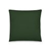 18x18 dark green pillow