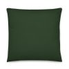 22x22 green pillow back