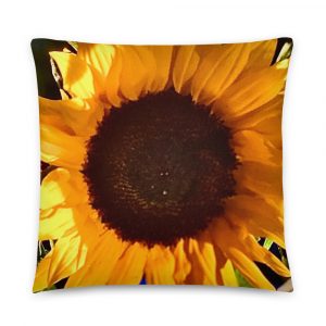 vivid yellow sunflower close-up on pillow