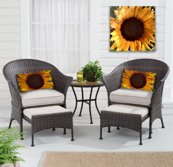 two chairs displaying Sunflower Acrylic Print pillows and wall decor