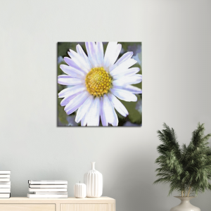 white daisy with yellow center on a canvas