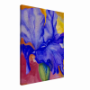 Watercolor Iris Canvas