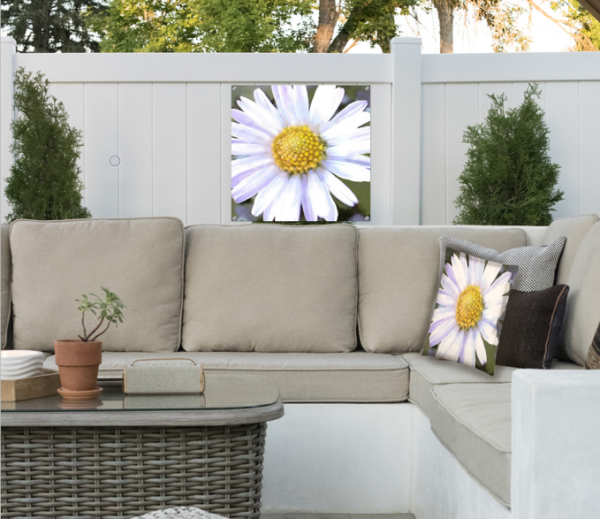 Daisy Acrylic print in outdoor art setting with matching pillow