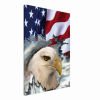 American Flag and Eagle airbrushed on canvas side view