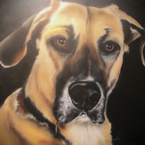 Bubba Dog Portrait
