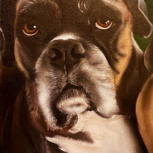 Snickers Boxer Dog Portrait