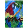 Personalized Acrylic Tiki Bar Sign with Parrot
