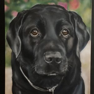 Black Lab Dog Portrait